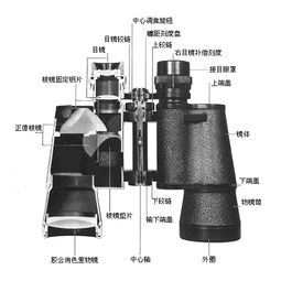 双筒望远镜的调焦方式