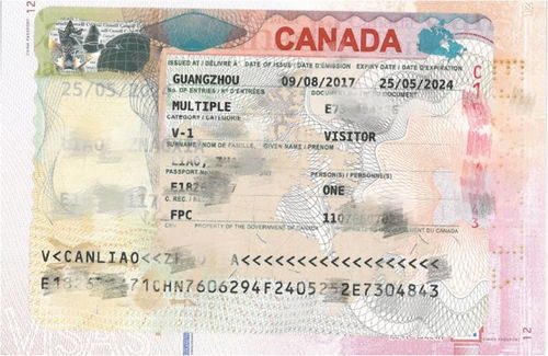 加拿大探亲签证成功案例分享 