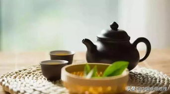 茶知识丨最应该懂得的8大饮茶常识,你都知道么