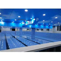 唐山健身房游泳池定制 质量好的健身房游泳池推荐价格 