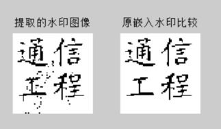 MATALB数字水印功能