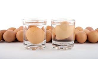 英国规定鸡蛋保质期产蛋后28天,去年浪费7亿鸡蛋,怕过期了 