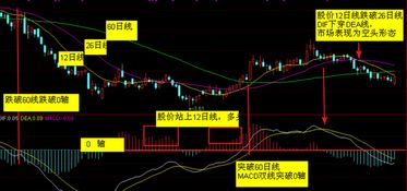 谁知道白银投资MACD指标的基础用法有哪些?