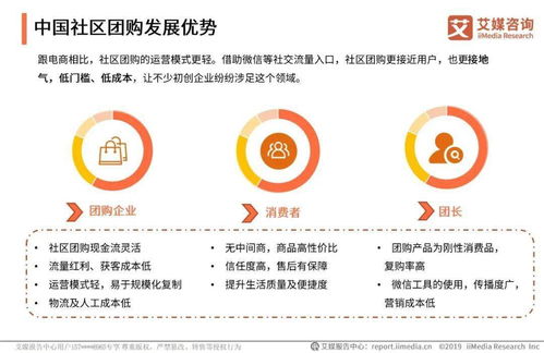 2020上半年中国社区团购行业专题研究报告
