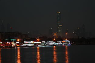 用28 135镜头学习拍了几片夜景,