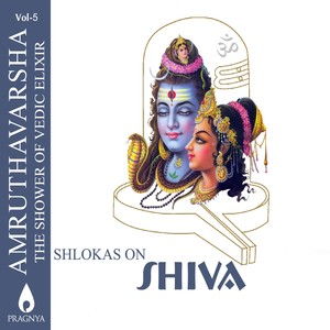 Vishwanaatha Ashtakam