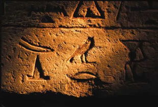 法老的诅咒究竟是怎么回事 探索古埃及神秘而又诡异的诅咒 