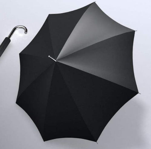 摩羯座把雨伞遮雨(摩羯座把雨伞遮雨代表什么)(摩羯座装b)