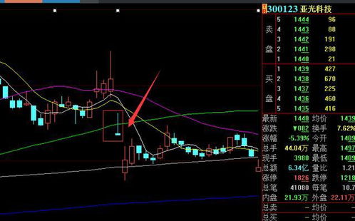 为什么我在股东登记日那天同一支股票我清仓后,马上又买进了,为什么第二天分红是没有股息到账