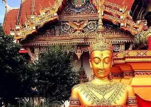 为什么寺庙大多都禁止游客冲着佛像拍照 老和尚说出奥秘 