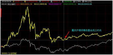 嘉实沪港深精选股票基金经理怎样？