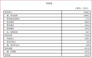 请教一个会计问题，为什么盈利净资产反而减少？