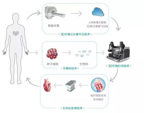 蓝光发展3d生物打印现实吗