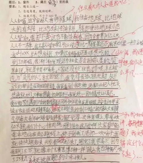 味蕾上绽放的爱作文800字