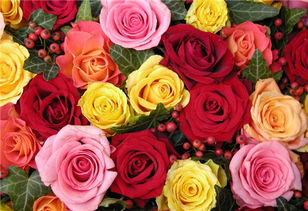 13朵玫瑰的含义 男生送你13朵花