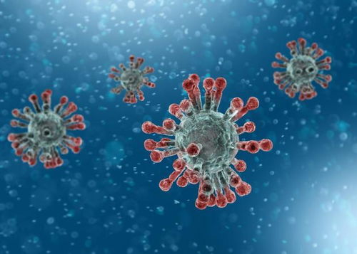 病毒会在夏季消失吗，新冠病毒会随温度升高而消失吗如何用科学解释
