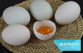 吃鸭蛋对身体有什么功效 鸭蛋食疗作用介绍