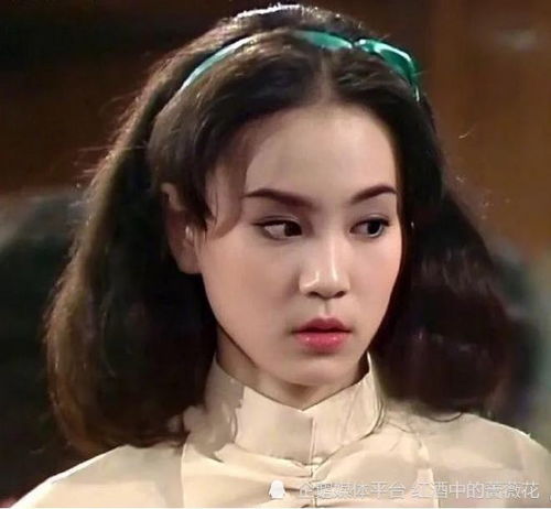 披着 瑶女郎 外衣的刘雪华,原来曾演过这么多金庸影视作品