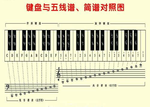 电子琴五线谱符号说明（61键电子琴键位图简谱和五线谱对照）