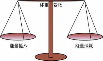 减掉1公斤脂肪需要多久 如何一个月降低3 体脂率 