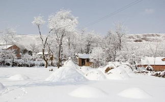 想用科涵C90拍家乡的雪