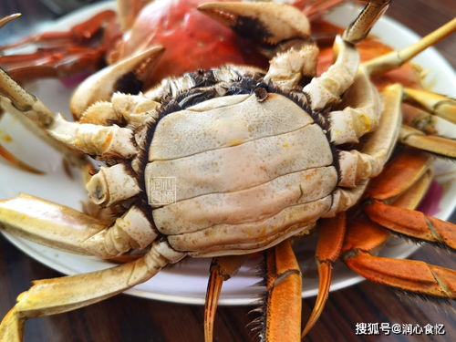 蒸螃蟹时,用冷水蒸还是热水蒸 牢记3点,螃蟹不腥不漏黄不掉腿