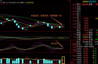 谁能帮我看看000592中福实业下午会怎样走啊，能不能涨停啊？？？非常感谢！！！