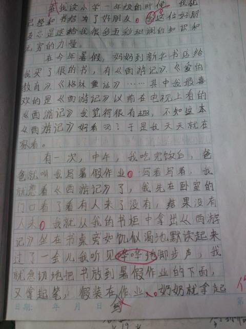 桃花谷游记作文300字左右