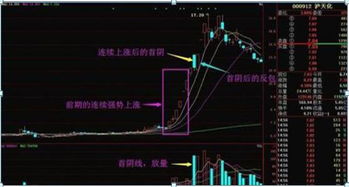 08年反2倍的股票有那几个 有机会