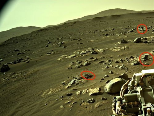 美知名UFO专家在NASA火星照片上发现外星人证据