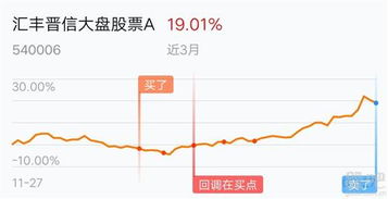 最近在比较选择基金，540006-汇丰晋信大盘股票A，163110- 申万量化小盘，这两个做定投，选哪个？