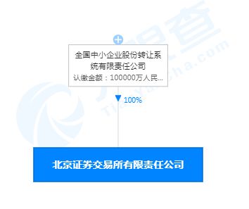 证券公司的注册资本是多少