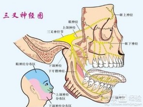 额头痛怎么回事(额头疼原因)