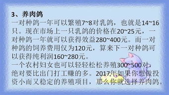 马云说 农村最赚钱的五个养殖项目 2017年将火遍全国 