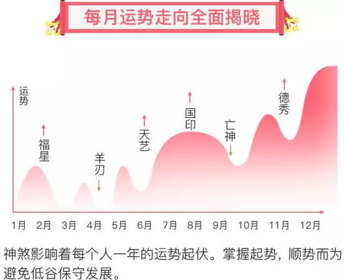 2025年流年运势分析免费（运势2025年运势）