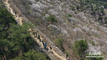 迁安 春染燕山 花扮长城