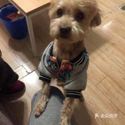 电话 地址 价格 营业时间 首都机场宠物店团购 北京宠物 