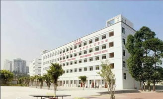 番禺区热门小学口碑排行,哪所学校是你心中的第一