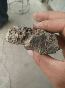 这是什么石头,在河里才捡的 看照片 