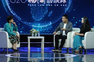 风云际会 G20杨澜访谈录 专访刘永好 刘畅