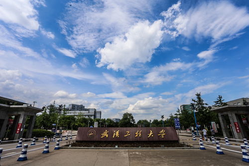 武汉内的大学有哪些大学排名