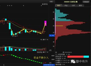 安科生物， 蓝色光标，网宿科技，这3只股票下午那只股票会涨？