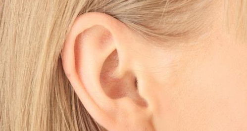 耳朵小的人命运到底好不好,最好的耳朵面相又是什么