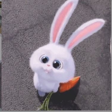 这只兔子叫什么名字呀,或者出自哪儿,谢谢各位了 