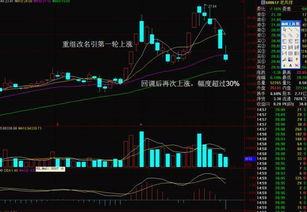 买黄金的股票怎么样，能赚到钱吗？