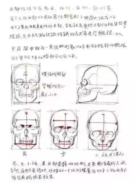 为什么你的人物体型总是画得 乱七八糟 你需要这些技巧