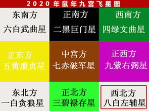 2020年,旺财运的风水布局有哪些 