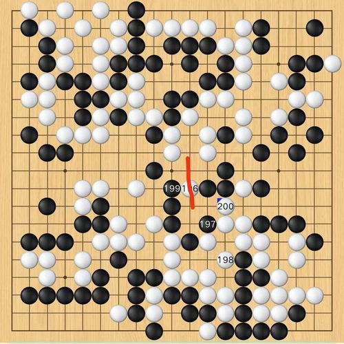 日本得过世界围棋*吗,围棋的世界*是谁