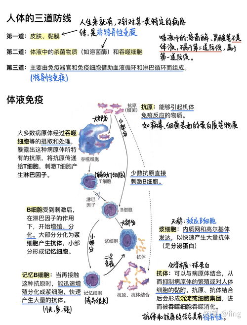 如何用Notability做出漂亮的笔记 