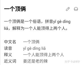 俩成语接龙(成语接龙时，如何接“一个顶俩”？)